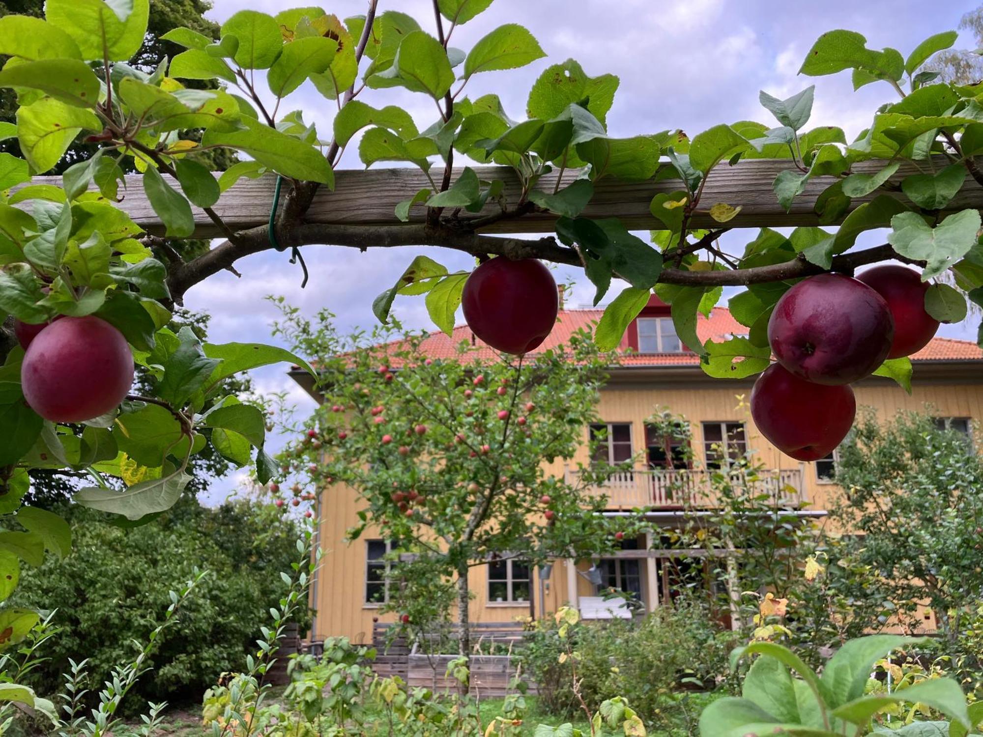 וימרבי Lidhem Herrgard. Bed & Breakfast Och Mindre Laegenheter מראה חיצוני תמונה
